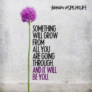 you will grow